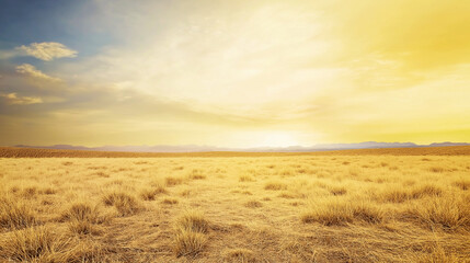 Fototapeta premium Golden dry grass field at sunset with distant mountains for environmental documentaries, climate change awareness, and natural landscape backgrounds