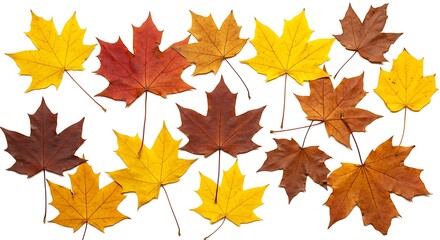 Fototapeta premium Autumn's Palette AI Generated