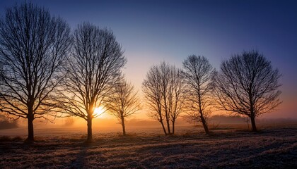 bare trees against fading light