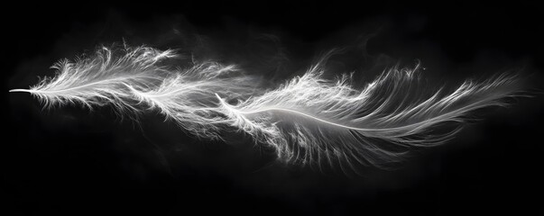 Obraz premium A single white feather with intricate details floating against a stark black background in monochrome style