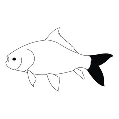  katla fish, vector, silhouette, catla fish natural water asin carf.eps, katla fish, vector, silhouette, catla fish natural water asin carf 