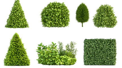 Variety of Pruned Hedges in Unique Shapes on Transparent Background for Creative Designs