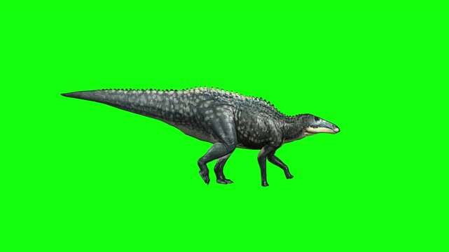 Shantungosaurus Dinosaur Walk Green Screen