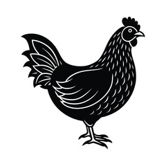 Fototapeta premium Silhouette Illustration of a Detailed Hen in Black and White