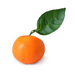 Fresh Oranges fruit with leaves on the white background.