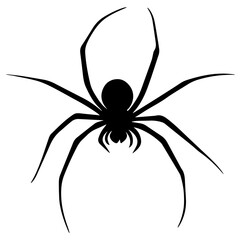 Vector illustration of spider isolated on white background.