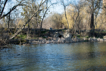 View of a lake shore