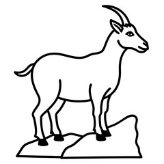 Fototapeta premium Goat standing on a rock 