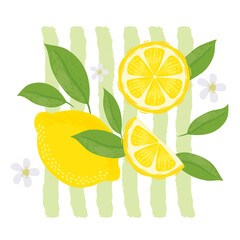 Lemons with leaves Illustration. Lemon plant. Template for cards, menus, flyers, posters. Vector hand drawn illustration.