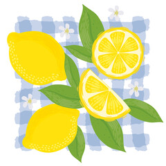 Lemons with leaves Illustration. Lemon plant. Template for cards, menus, flyers, posters. Vector hand drawn illustration.