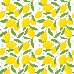 Lemons with leaves illustration pattern. Lemon plant. Template for cards, menus, flyers, posters. Vector hand drawn illustration.