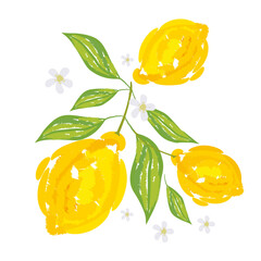 Lemons with leaves Illustration. Lemon plant. Template for cards, menus, flyers, posters. Vector hand drawn illustration.