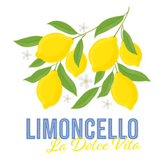 Lemons with leaves Illustration. Lemon plant. Template for cards, menus, flyers, posters. Vector hand drawn illustration.
