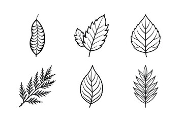 Obraz premium Vector set of leaf icons showcases a seamless floral pattern, an artistic nature illustration for spring or autumn design