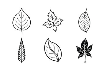 Obraz premium Vector set of leaf icons showcases a seamless floral pattern, an artistic nature illustration for spring or autumn design