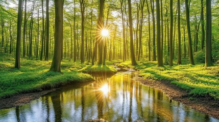 Obraz premium Nature action tranquil stream in lush forest landscape photography sunlit serenity