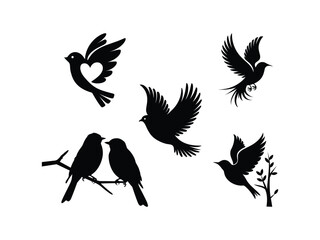 Obraz premium Birds Silhouettes Vector Set - Avian Design Elements for Nature Themes