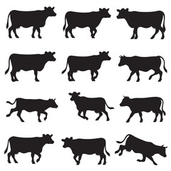 silhouettes of cows