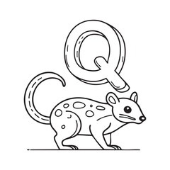 Fototapeta premium An Illustration of letter Q stand for Quoll