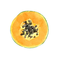 Round papaya slice with seeds watercolor textured illustration isolated on white. The hand-painted tropical fruit clip art is perfect for culinary designs, labels, prints, cards, packages and menu