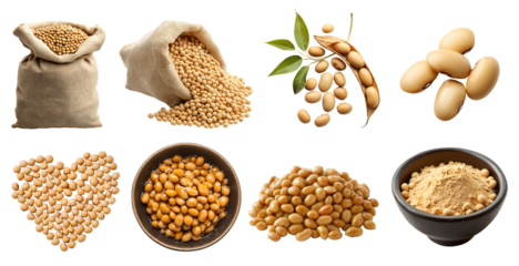Soybean, soya soy bean, Glycine max legume seed plant pea vegetable, cooked, protein powder, heart love shape, pile stack, burlap gunny sack, in pod on transparent cutout PNG. Mockup template