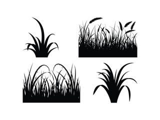 Grass Silhouettes Vector Set - Nature Botanical Design