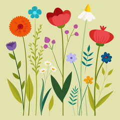 Fototapeta premium Wildflower and Meadow Flora with Stem Vector Set 
