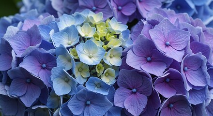 Hydrangea Hues A Symphony Of Blue And Purple AI Generated