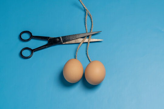 Doctor uses scissors to cut the rope that holds two eggs on a blue background, close up. The concept of vasectomy and men's health. Idea about male testicular health
