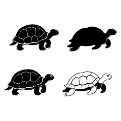Vector illustration of a walking turtle with a shell in nature, isolated on white background, featuring a baby reptile as a pet or wildlife animal