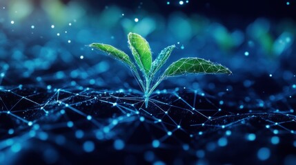 Digital sprout growth in a connected network