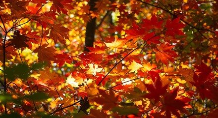 Crimson Canopy's Embrace AI Generated