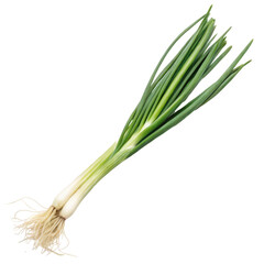 Fresh Green Onions Harvested from Organic Garden in Bright Natural Light
