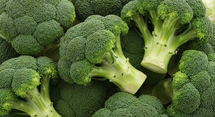 Fresh Green Broccoli Heads with Tightly Clustered Florets