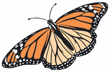 butterfly on a white background