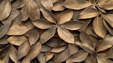 Naklejka premium Fallen leaves covering ground in nature's autumn embrace forest floor close-up