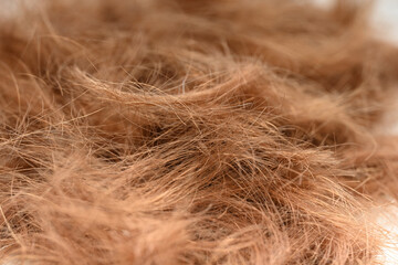 loosely cut blond hair close-up