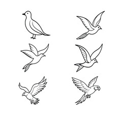 Six Birds Line Art Illustrations