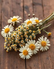 Obraz premium Dried chamomile sprigs on rustic wooden surface, surrounded by fresh chamomile blooms, detail, texture, blooms