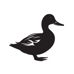 Isolated brown mallard duck vector with detailed white feathers and beak