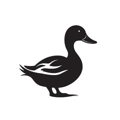 Isolated female mallard, a wild waterfowl with green feather