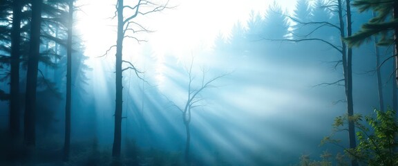 Obraz premium Ethereal blue mist shrouds a sunlit forest at dawn, creating a mystical atmosphere, landscape, nature, graphic