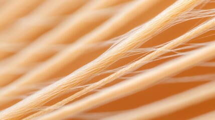 An abstract close-up of fine, light-colored strands creating a textured pattern against a soft background.