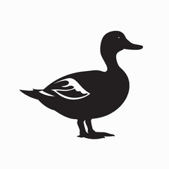 Obraz premium Vector illustration of a duck isolated on a white background, showcasing its beak, feathers, and wings