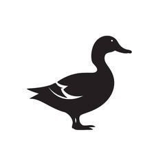 Obraz premium Isolated white duck, a wild waterfowl silhouette