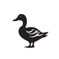 Obraz premium Vector illustration of a duck isolated on a white background with feathers, beak, and wings
