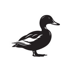 Isolated mallard duck vector, a brown feathered waterfowl with black beak
