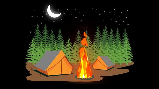 camping in the night and campfire