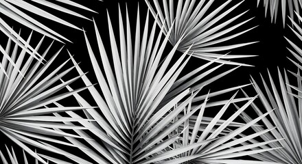 Palm Fronds Pattern in Black and White Creates Tropical Vibe