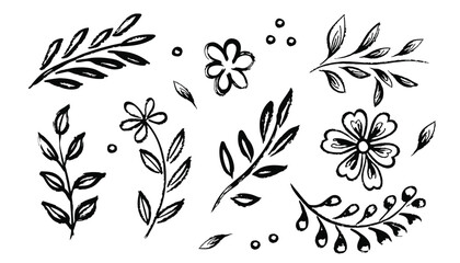 Flower abstract hand drawn brush ink stroke. Sketch hand drawn silhouette floral plant, nature graphic leaf, floral grunge abstract brush. Vector simple flower, leaf ink stroke. Vector illustration